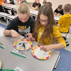 Students working on dissecting owl pellets.